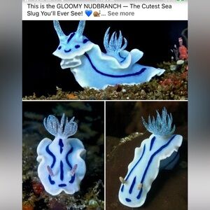 - #7 Follow Game ,HAPPY NEW YEAR 2026🎆